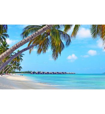 Туры на Мальдивы из Ташкента 2026 — цены, отдых все включено